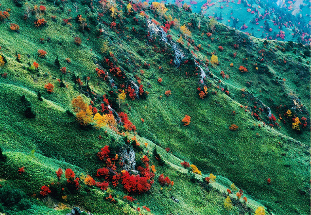 志賀高原の秋