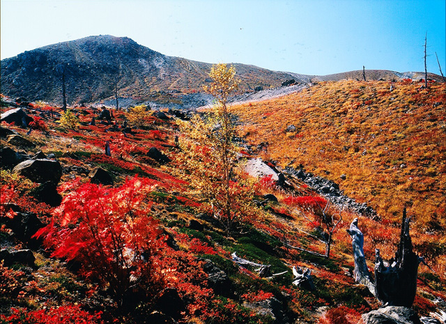 志賀高原の秋　白根山